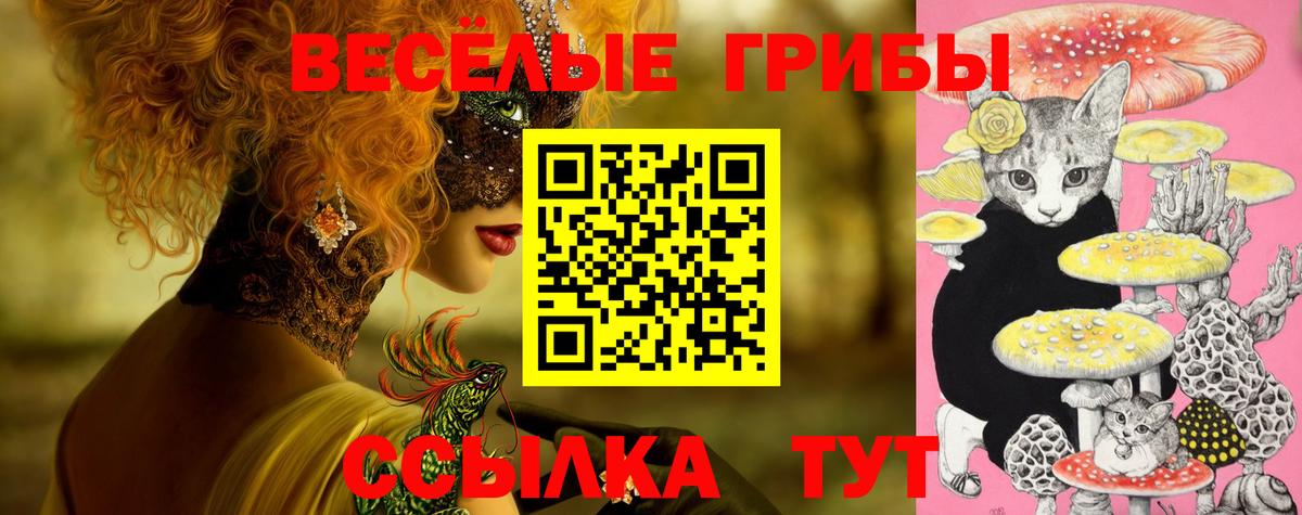 Псилоцибиновые грибы Magic Shrooms Новочеркасск